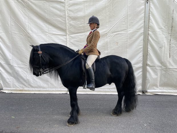 Clare Fitch and Wildhoeve Okidoki win the Fell final of the year at the 2021 Horse of the Year Show