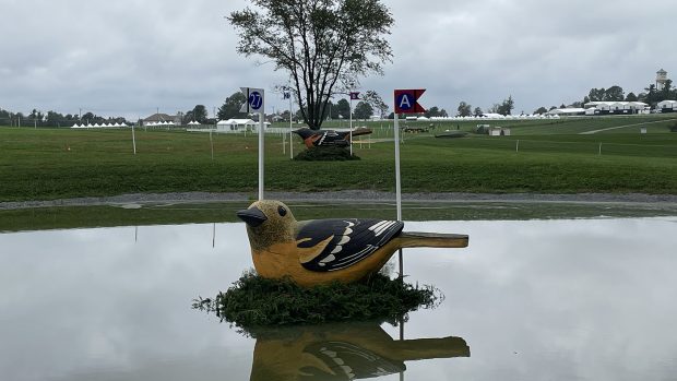 Maryland 5 Star cross-country 2021: fence 27a