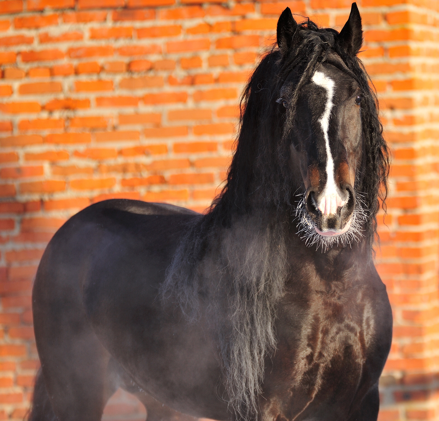 Global-Herbs_1400x788_Image-4