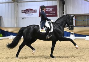 HAYLEY WATSON-GREAVES riding RUBINS NITE at Keysoe CDI