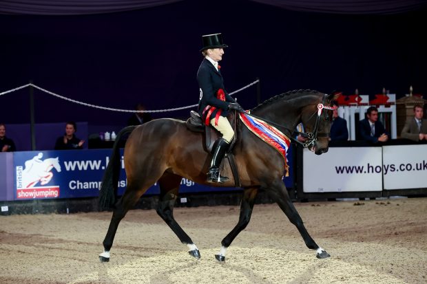 Minella Rebellion wins the R2R final at HOYS