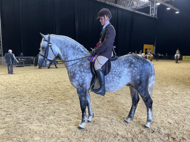 Harrison Taylor and Skellorn Deja Vu win the Connemara final of the year at the 2021 Horse of the Year Show