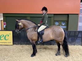 Tracey Milward and Lochlands Gypsy Baron win the Highland final of the year at the 2021 Horse of the Year Show