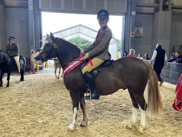 HOYS 138cm M&M WHP: Katy Stock and Rushfield Oh So Smart won the M&M working hunter pony 133cm title at HOYS 2021
