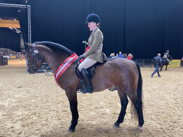 Laura Avery and Willoway Free Spirit won the M&M working hunter 143cm at the HOYS 2021