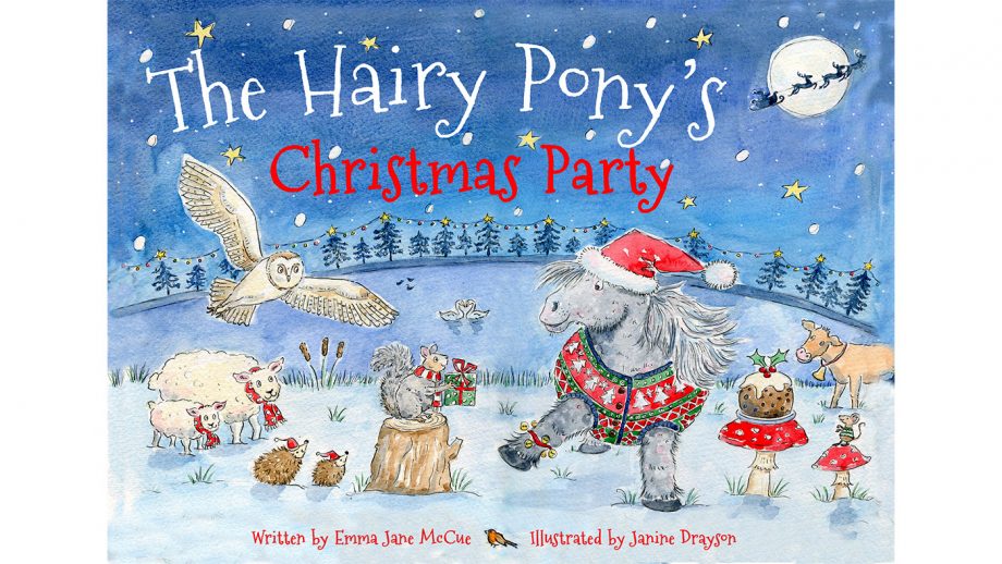 The Hairy Pony’s Christmas Party review