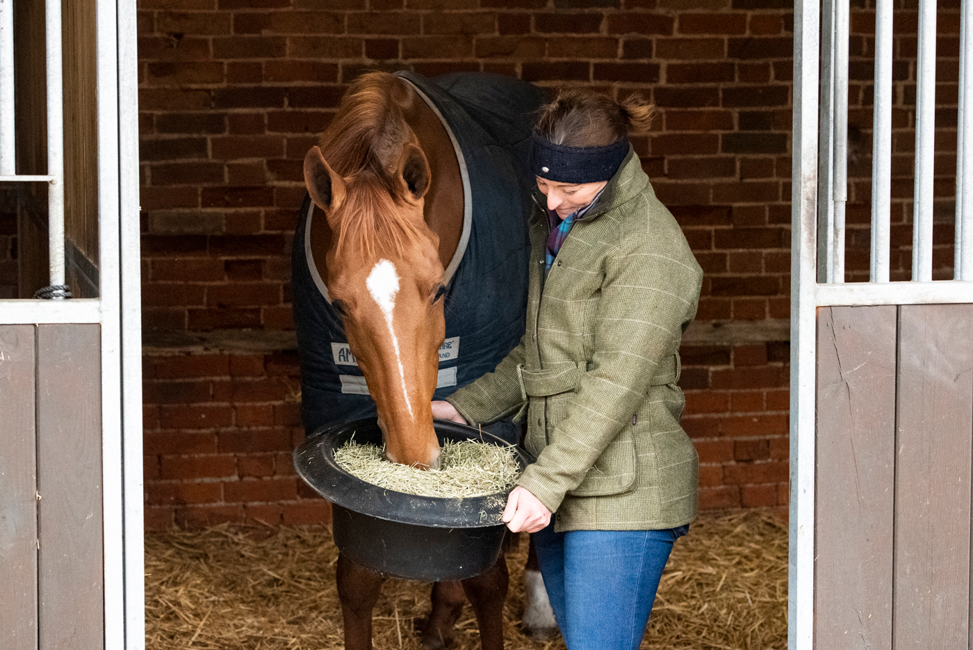 Horse-eating-from-a-bucket_1400px