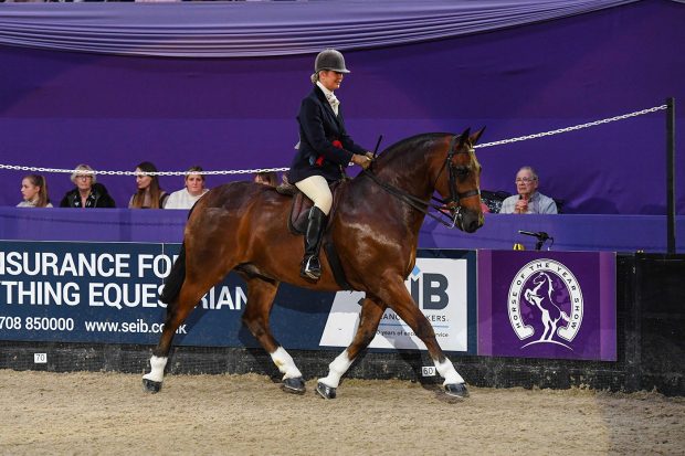 Red Butler and Sarah Walker are cob of the year winners at HOYS 2021