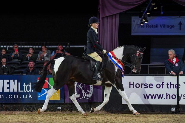 LOSTOCK UP TO DATE owned by Ms Sarah Harrison is champion ridden coloured at HOYS 2021