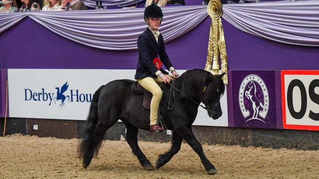 Beatrice Shepherd and Carmilo Magician won the Mountain & Moorland WHP Championship at HOYS 2021.