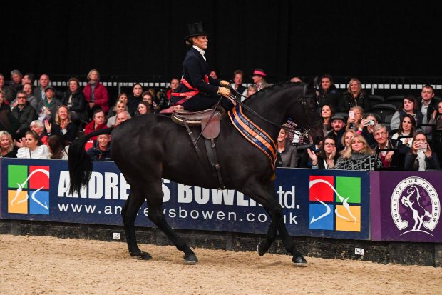 Seabourne Silent Valley wins the HOYS ladies show horse title