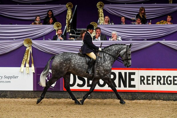 Lucy Hopkins and Chilly Breeze are 2021 SEIB SFAS champions at HOYS