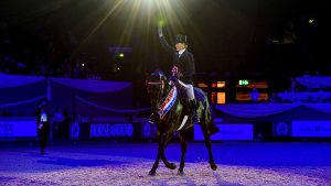 Forgeland Hyde Park, winner of the hack championship at HOYS 2021.