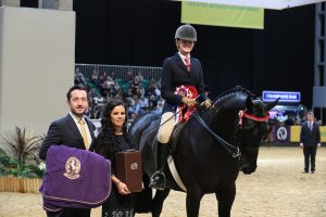 Isabella Mears, Forgeland Hyde Park win the intermediate show riding type title at HOYS 2021