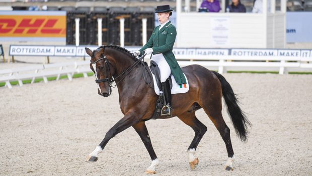 Part-Shire Snowden Faberge and Kate Dwyer at the European Dressage Championships 2019