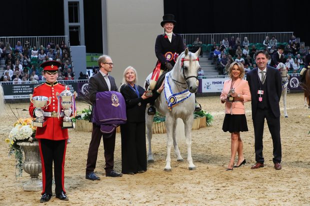 Kimberley Bates and Rafeekah claim glory in the arab ridden final at HOYS 2021
