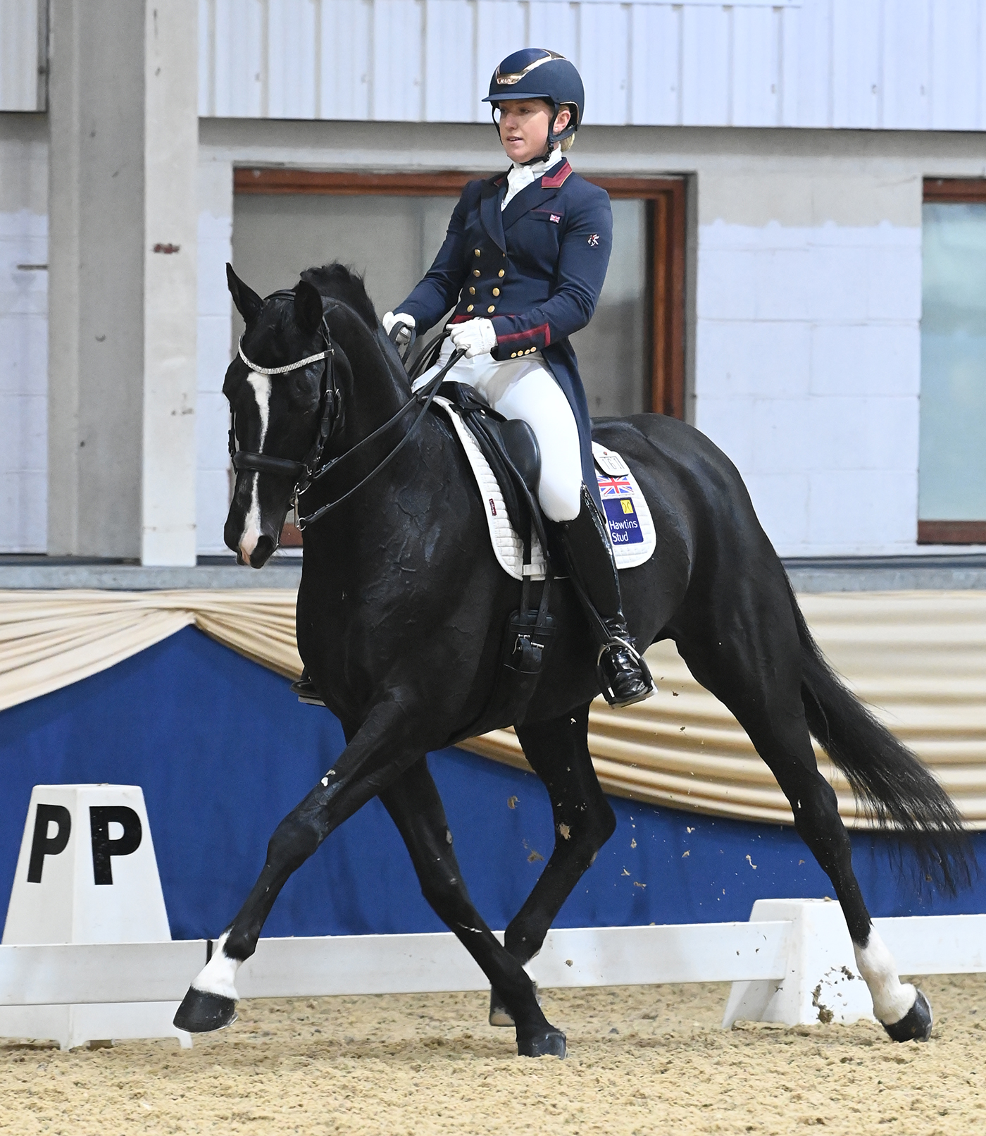 LUCINDA ELLIOTT riding HAWTINS DUCHESA