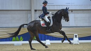 LARA BUTLER riding KRISTJAN at Keysoe CDI