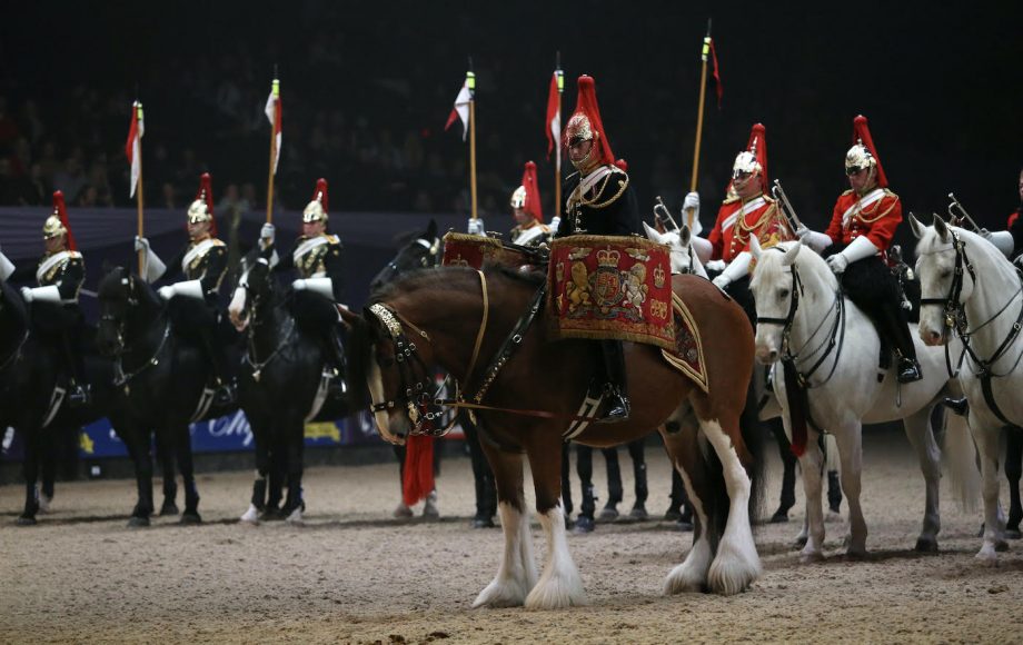 Household Cavalry drum horse Perseus at HOYS