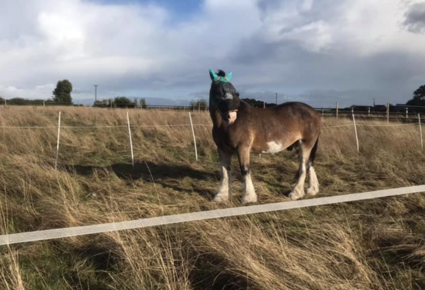 Hovis’ Friday diary