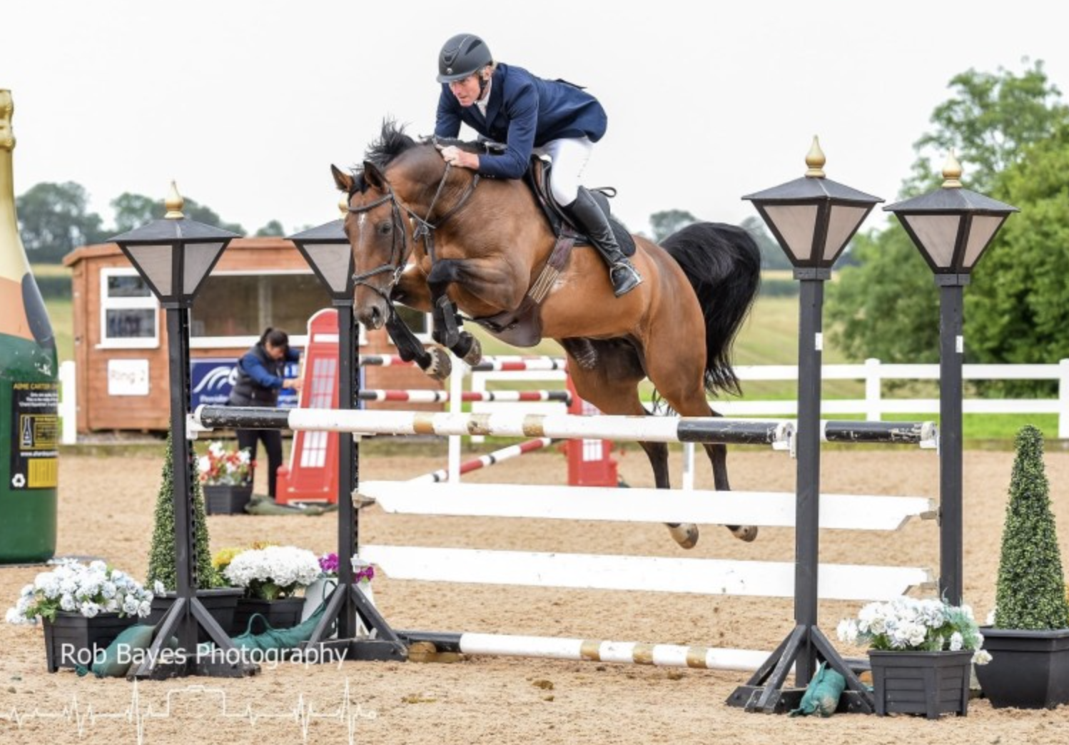 horses for sale over £20000