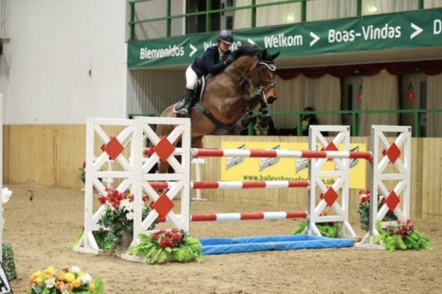 horses for sale over £20000