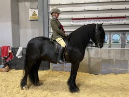 Katy Marriott-Payne and Tarbarl Major Tom land the Dales title at Horse of the Year Show 2021