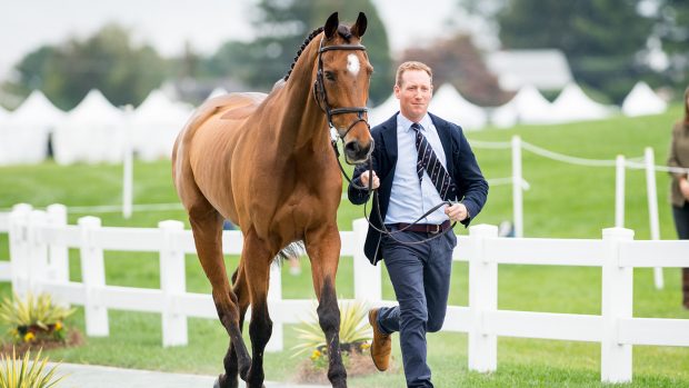 Maryland 5 Star final trot-up: Oliver Townend and Cooley Master Class