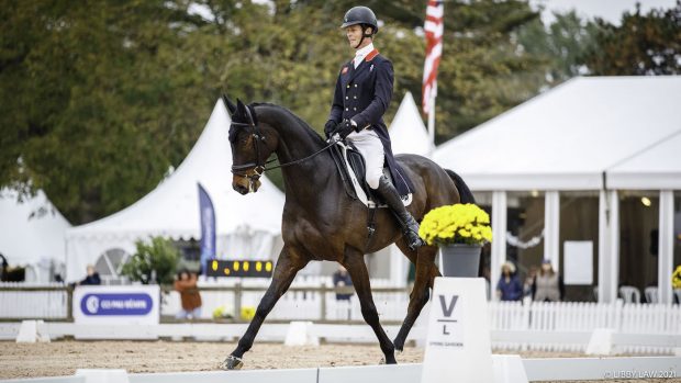 Pau Horse Trials cross-country course: William Fox-Pitt, pictured aboard Little Fire, who is in provisional third after dressage)