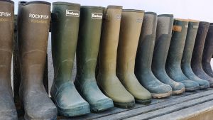 Best wellington boots lined up