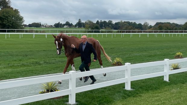 Maryland 5 Star first trot-up: Leslie Law and Voltaire De Tre’