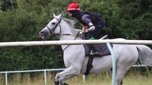 Harry Enright, who was born with one hand, has graduated from the British Racing School and is now a work rider for Lawney Hill.