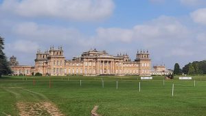Blenheim FEI officials allegations: FEI cases are open concerning allegations involving three members of the ground jury in the CCI4*-S for eight- and nine-year-old horses and the technical delegate