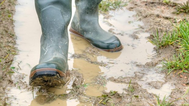 Horse owners: wet weather abandonments replacement events