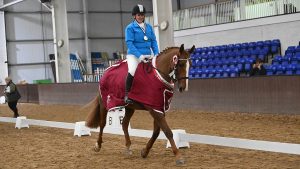 ABIGAIL COLLIER riding CADOR at the Quest dressage championships