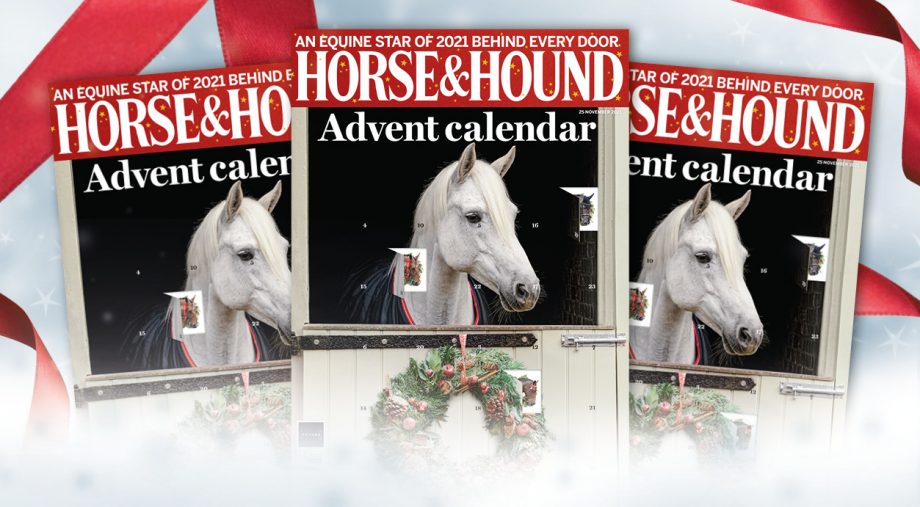 Horse & Hound Advent calendar