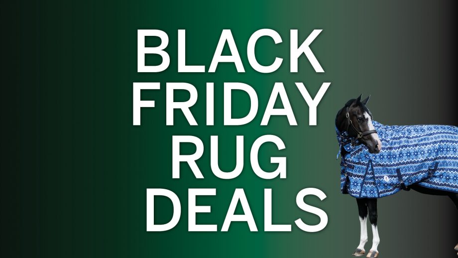 Black Friday horse rug deals