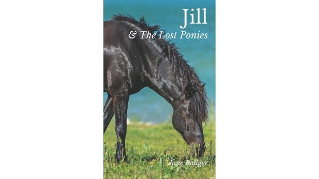 Jill and the lost ponies review