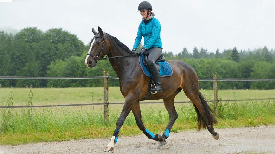Riding horses in the rain