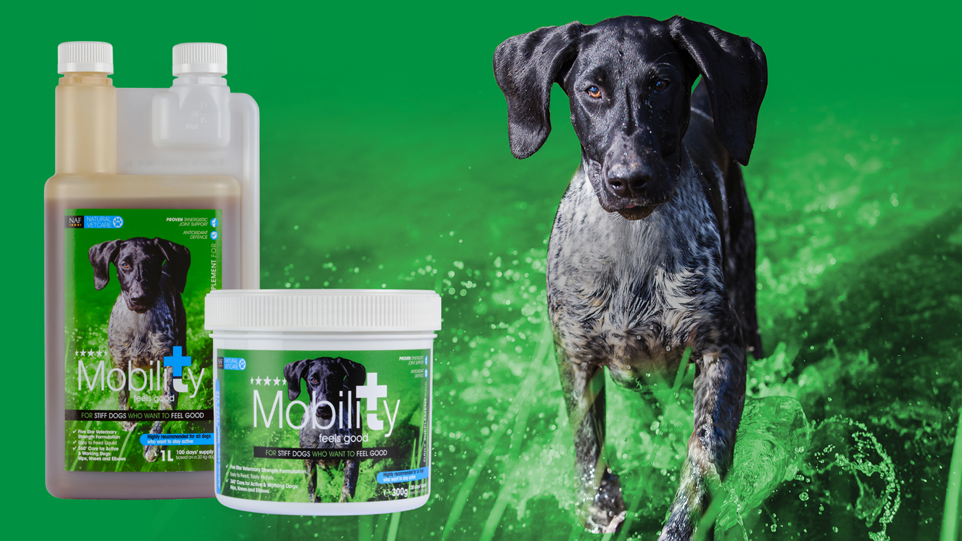 Mobility-Product-1400x788