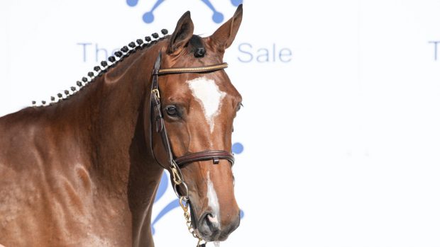 Monart sale results 2021