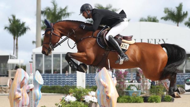 Nayel Nassar and Igor Van De Wittemoere winning in Wellington, Florida shortly after his wedding to Jennifer Gates