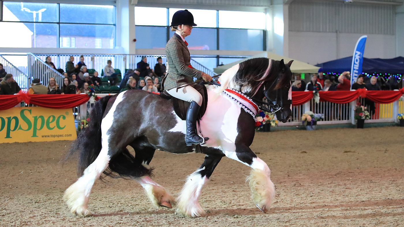 Patrick at STARS Champion of Champions show