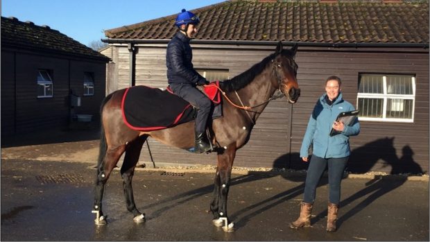 The Royal Veterinary College research is helping to build a picture between horses’ movement and other factors