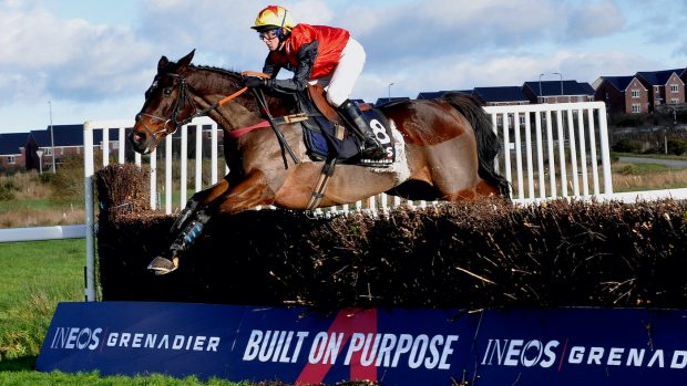 Mixed Open Race – Tango De Juilley and Flora Guy.