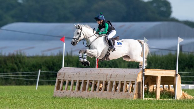 Tiggy's Trust Cheltenham launch: the home of jump racing will be a ‘sea of yellow’ to mark the foundation’s launch