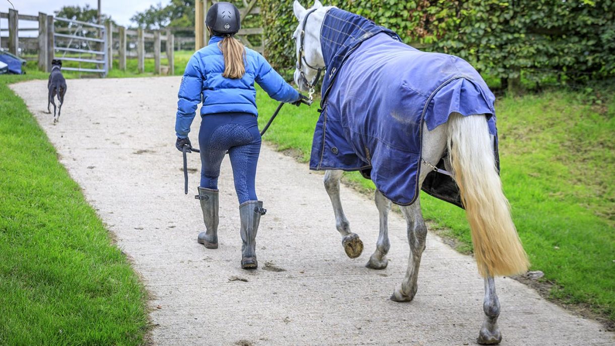 Types of horse rugs how to decide which rug your horse needs