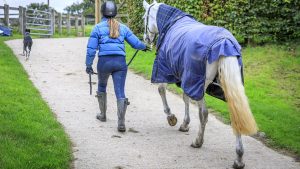 Turnout rugs are one of the wide range of different types of horse rug available