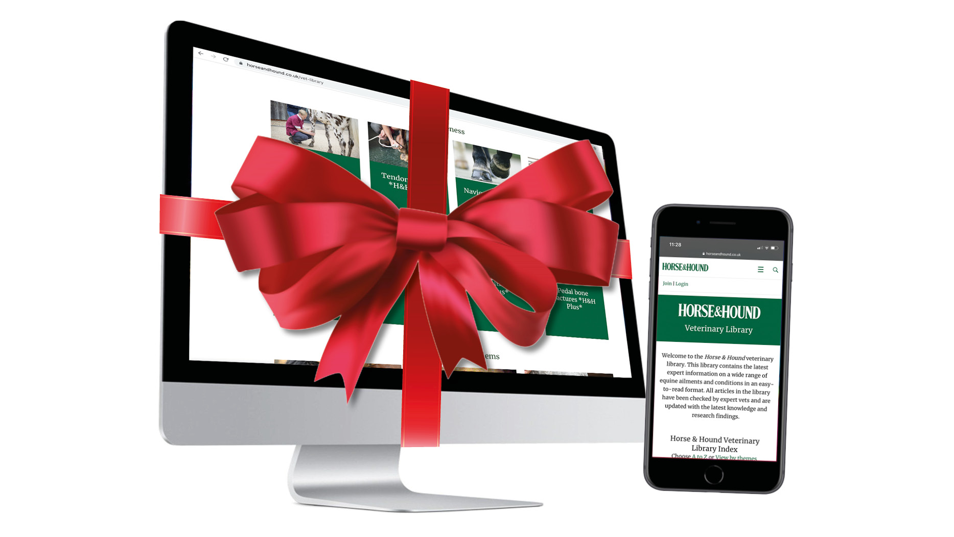 5 the explanation why a subscription to HorseandHound.co.united kingdom makes the very best last-minute present