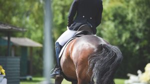 How to use leg pressure when riding a horse